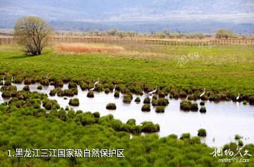 黑龙江三江国家级自然保护区照片