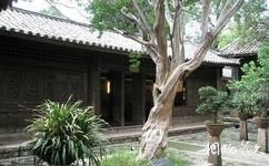 麗江白沙古鎮旅遊攻略之老樹