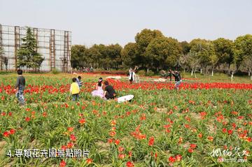 蘇州中國花卉植物園-專類花卉園照片