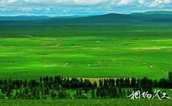 內蒙古錫林郭勒草原旅遊攻略之烏珠穆沁草原