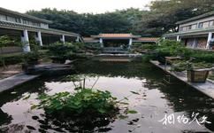 珠海市博物館旅遊攻略之園林