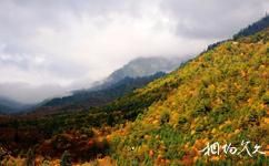 陝西長青國家級自然保護區旅遊攻略之秋景