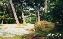 中科院華南植物園旅遊攻略之棕櫚園