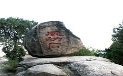 泰安新泰鲁商·新甫山旅游攻略之峡谷奇石