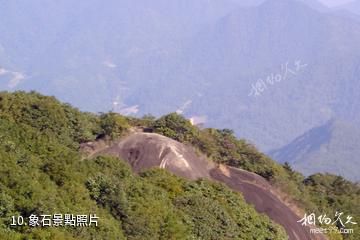 龍岩梅花山中國虎園-象石照片