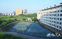 湖南湘潭大学校园概况之琴湖