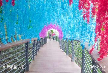 都匀杉木湖景区-紫藤花长廊照片