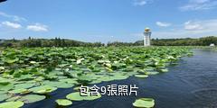 岳陽君山野生荷花世界旅遊區驢友相冊