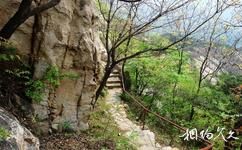 招远罗山国家森林公园旅游攻略之登山石阶