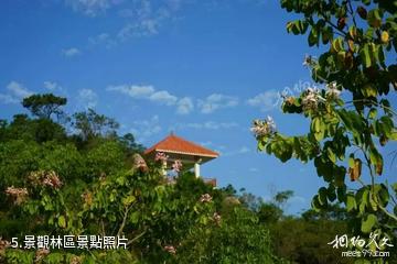 汕尾銅鼎山-景觀林區照片