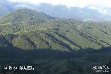 景寧草魚塘森林公園-敕木山照片