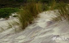 美國大蘇爾旅遊攻略之紫沙灘