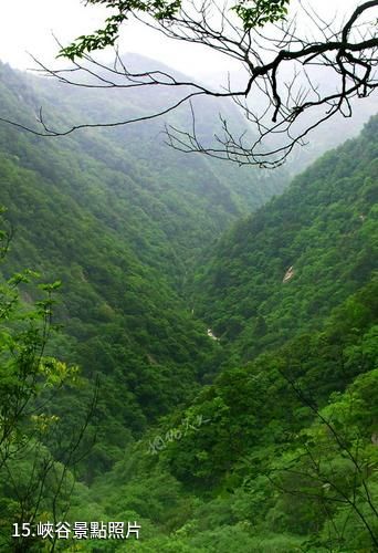 岳西天峽風景區-峽谷照片