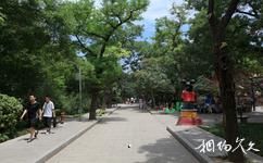 西安革命公园旅游攻略之公园