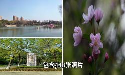 常州青枫公园驴友相册