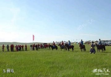 兴安蒙古包旅游村-赛马照片