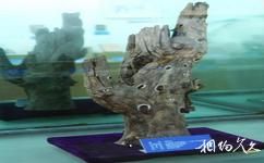 青岛中国海军博物馆旅游攻略之上甘岭枯树干