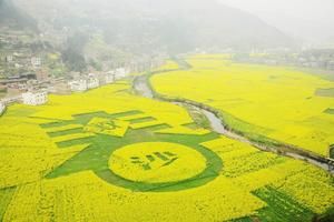 四川泸州古蔺双沙旅游攻略-双沙镇景点排行榜