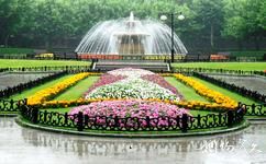 上海复兴公园旅游攻略之毛毡花坛