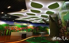 上海辰山植物园旅游攻略之热带植物体验馆
