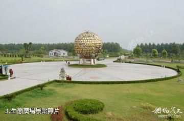 江蘇永豐林農業生態園-生態廣場照片