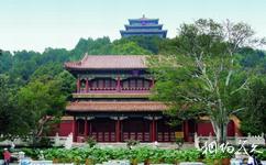 北京景山公園旅遊攻略之牡丹園