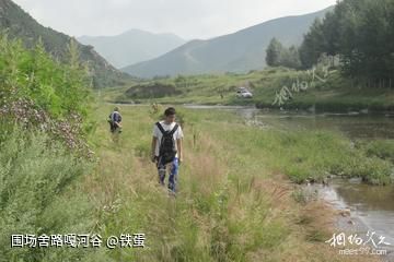 狼图腾。 再上平顶山又遇那达慕。 盟中行