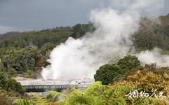 新西兰毛利文化村旅游攻略之间歇喷泉