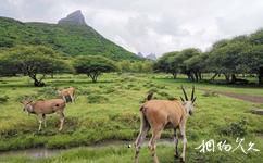 毛里求斯卡塞拉自然公园旅游攻略之动物