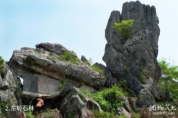 修水南崖清水岩风景区-东岭石林照片