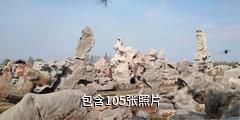 费县中华奇石城驴友相册