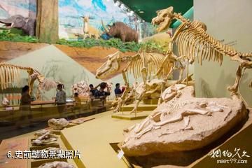 柳州白蓮洞洞穴科學博物館-史前動物照片