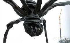 加拿大渥太华市旅游攻略之大蜘蛛雕塑