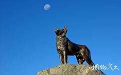新西兰瓦卡蒂普湖旅游攻略之牧羊犬雕像