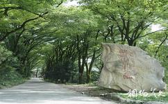 重庆歌乐山国家森林公园旅游攻略之歌乐灵音