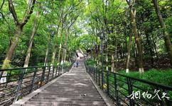 宜賓翠屏山公園旅遊攻略之森林公園