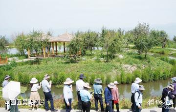 伊犁植物園-園區照片