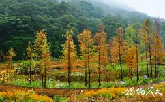 廣州從化石門國家森林公園旅遊攻略之紅楓湖
