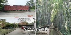湛江寸金橋公園驢友相冊