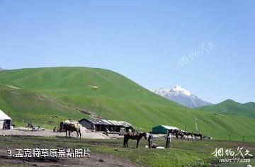 伊犁唐布拉景區-孟克特草原照片