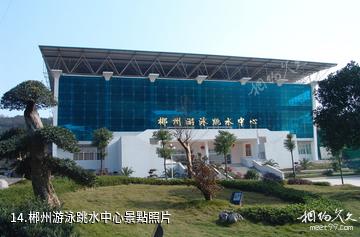 郴州龍女景區-郴州游泳跳水中心照片