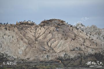 美国17里湾-海豹岩照片