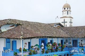哥伦比亚萨伦托小镇-房子照片
