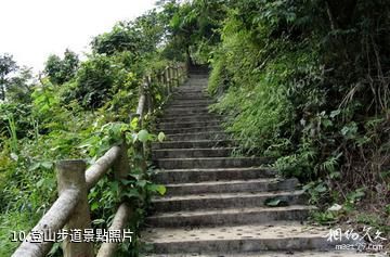 廣西鳳山岩溶國家地質公園-登山步道照片