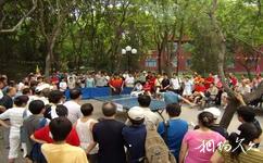 北京万芳亭公园旅游攻略之林荫乒乓球广场