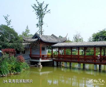 峨眉山竹葉青生態茗園-茗青苑照片