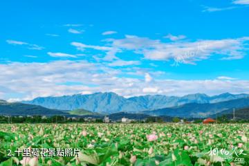 騰衝西源盈水景區-十里荷花照片