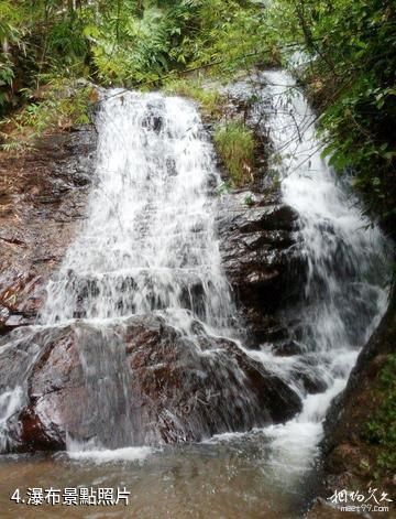 賓陽白鶴觀竹海生態旅遊渡假區-瀑布照片