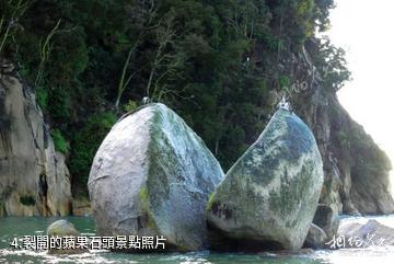 紐西蘭阿貝爾·塔斯曼國家公園-裂開的蘋果石頭照片