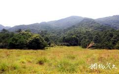 福建梅花山國家級自然保護區旅遊攻略之高山草甸